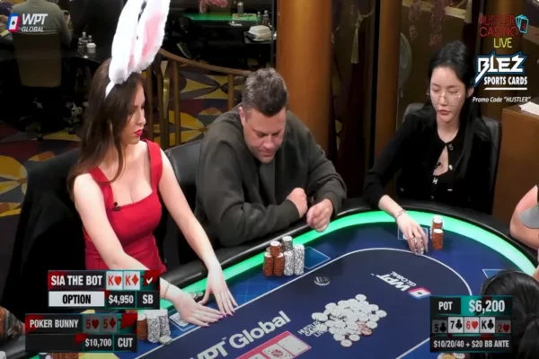 Poker Bunny In Disbelief Vs Sia The bot