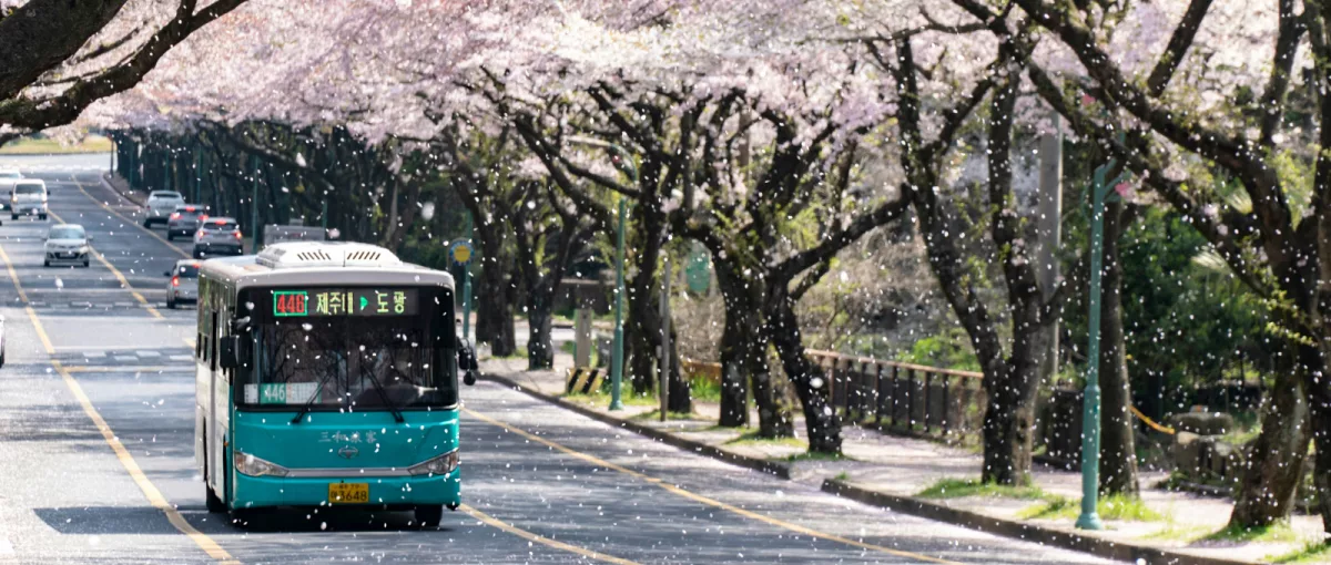 Jeju, South Korea